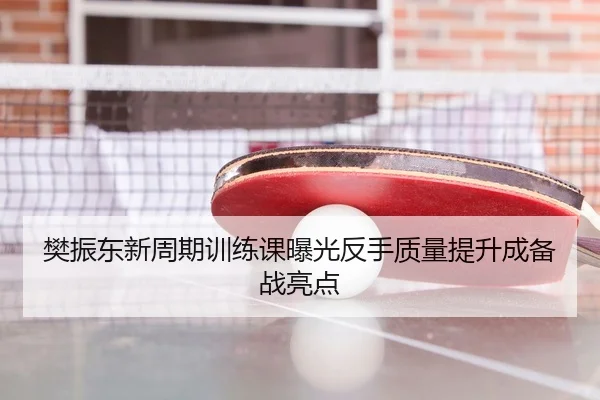 樊振东新周期训练课曝光反手质量提升成备战亮点